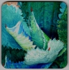 Coaster, Agave 