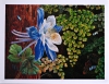 Notecard, Columbine and Ferns
